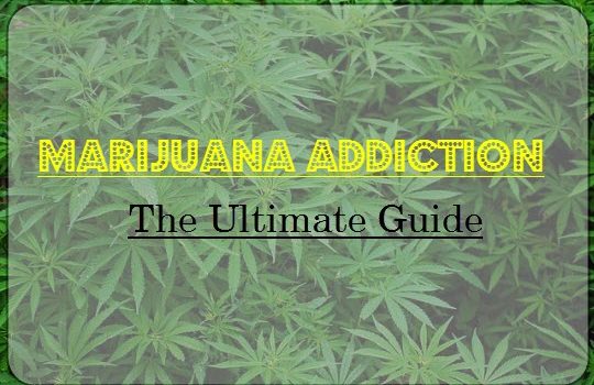 Marijuana Addiction: High Or Psychotic?